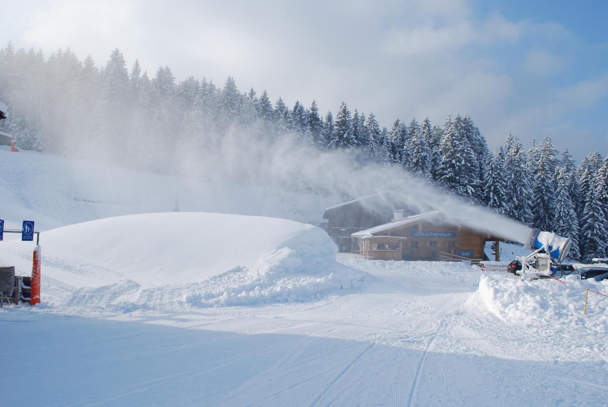 Alpengasthof Goetschenalm บิชอฟสวีเซิน ภายนอก รูปภาพ